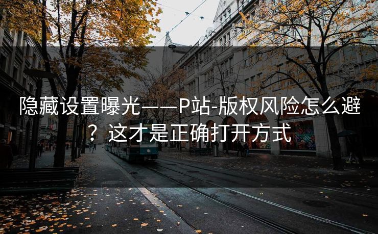隐藏设置曝光——P站-版权风险怎么避？这才是正确打开方式